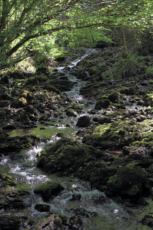 يانس Molino De Tresgrandas المظهر الخارجي الصورة